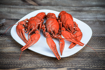 Boiled red crawfish on a white plate on a wooden background. Tasty red steamed rawfish closeup on wood table, seafood dinner, nobody. Copy space for your text.