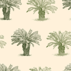 pattern of the small tropical palm tree