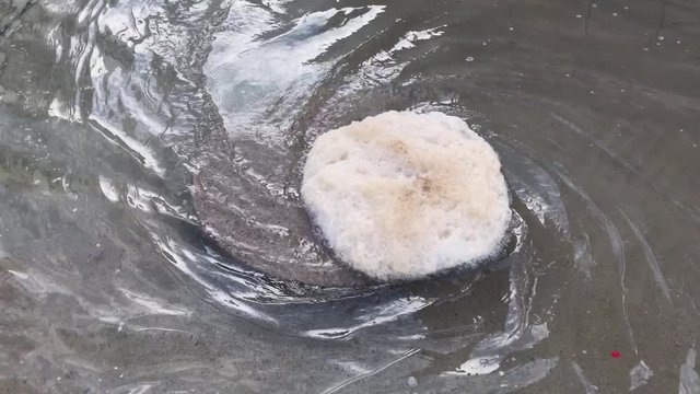 Dirty foam on water going round and round to drain.
