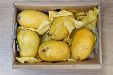 Box of ripe mangoes