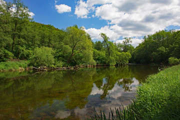 Flusslandschaft im Nationalpark Thayatal - Niederösterreich