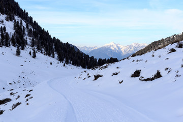 Fototapeta na wymiar Mountain panorama and wintery snowy path with trees in Stubai Alps, Austria