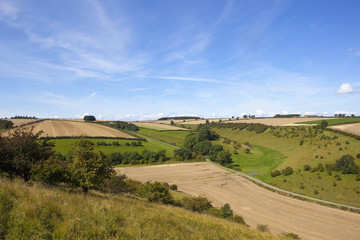 Fototapeta na wymiar agricultural valley