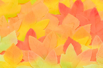 Fall leaves background or texture color
