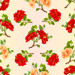 Seamless texture branches yellow and red hibiscus tropical flowers  vintage  vector editable botanical illustration hand draw