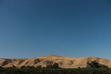 Naklejka premium California countryside