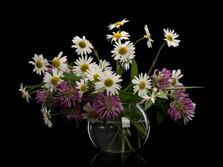 Flowers of clover and chamomile in glass vase