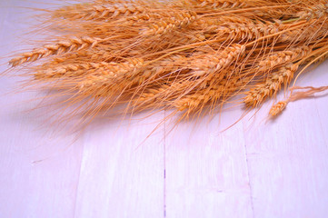 Ripe wheat bran on the table