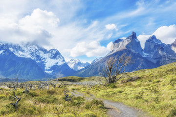 Torres del Paine National Park in southern Chile, Patagonia