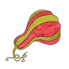 Pumpkin in watercolor