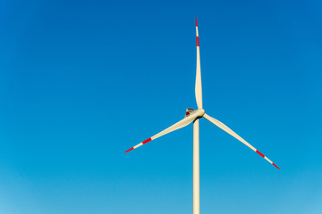 wind mill with rotor blades