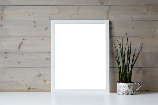 Isolated interior shot of decorative fresh green plant in pot and blank photo frame with copy space for your picture, content or promotional information resting on white shelf at wooden wall.