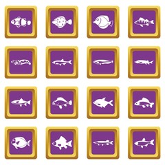 Cute fish icons set purple