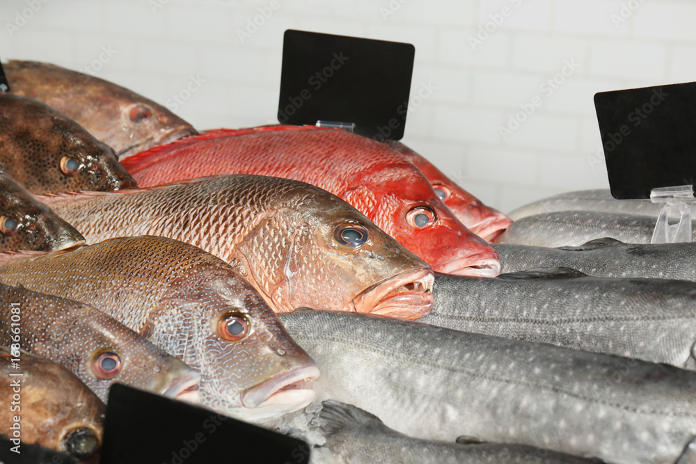 Wall mural fresh fish in supermarket