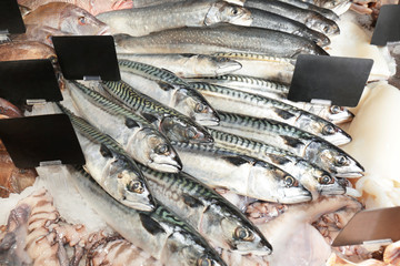 Fresh fish in supermarket