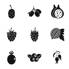 Eco berries icon set, simple style