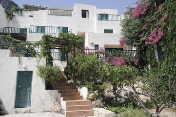 Fototapeta na wymiar белый дом с цветущими деревьями в Греции