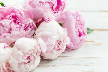 Fresh bunch of pink peonies