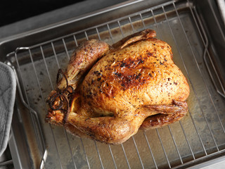 Fototapeta premium Delicious golden turkey on baking tray