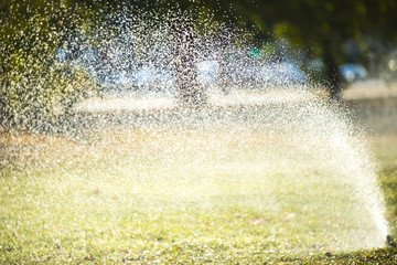 Sprayer for watering grass