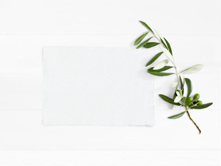 Styled stock photo. Feminine wedding desktop mockup with green olive branch and white empty paper card. Foliage composition on old white wooden background. Top view. Flat lay picture.
