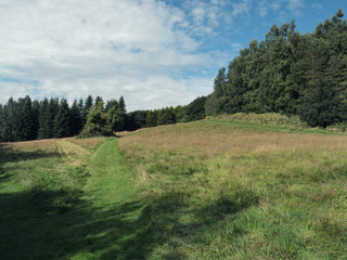  summer countryside morning,Northern Ireland