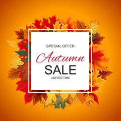 Abstract Vector Illustration Autumn Sale Background with Falling