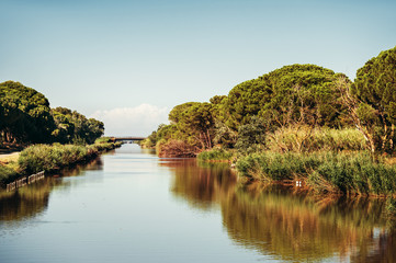 Fototapeta na wymiar Landscape of Rhone river delta, Camargue, national reserve, France