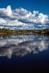 Summer's Day on the Tanana