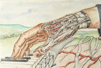 Hand
