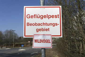 Gefluegelpest