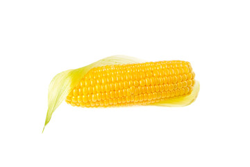 Sweet corn on white background