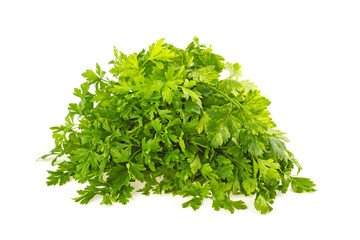 Bunch of parsley on a white background