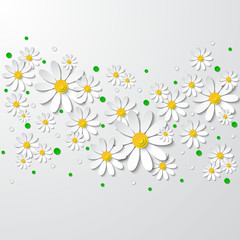 Obraz premium Floral background with 3d chamomiles and dots cutting paper isolated on white. Vector illustration