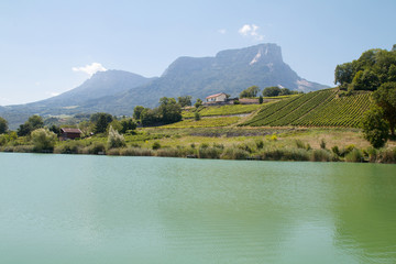 lac de Saint André et les vignes de Savoie