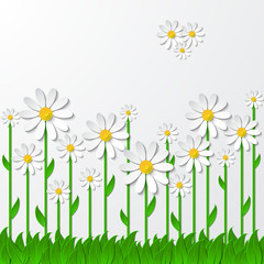 Floral background with 3d chamomiles on the grass cutting paper isolated on white. Vector illustration