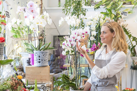 Young florist with an orchid in her shop