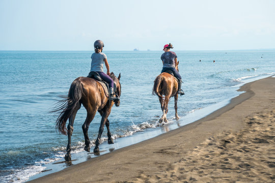Fototapeta Galloping on a horse of the sea at sunny day.