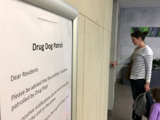 Drug Dog Patrol sign