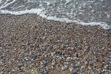 Viele Muscheln am Strand mit Welle