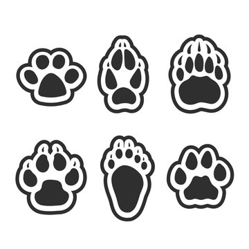 Print of paws of animals.