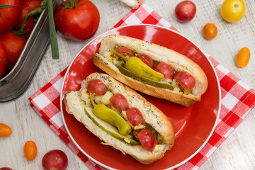 Two Chicago Style Hot Dogs Cookout Dinner