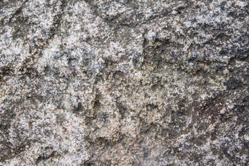 Coarse stone background texture