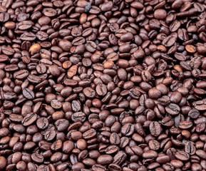 Coffee beans after being roasted