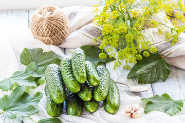 Young green small cucumbers for pickling. Marinated and canned food. Organic fresh vegetables in high key on light wooden background. Preparation for canning. Summer Pickles. Top view.
