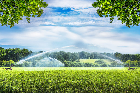Industrial irrigation equipment system on green farm