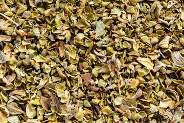 Oregano condiment -  high definition pattern
