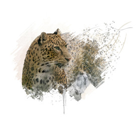 Leopard Portrait watercolor
