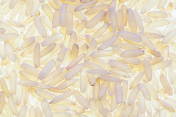 Raw brown rice in backlight - high definition pattern