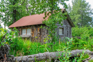 Fototapeta na wymiar Alaska frontier style cottage constructed of rough cut trees in wilderness surrounded by green vegetation with red tile roof.